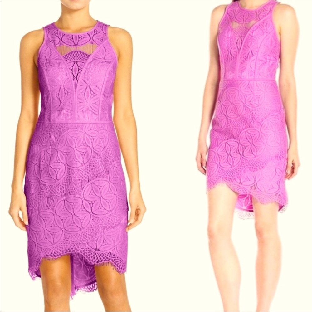 Adelyn Rae Cocktail Dress - Lace High Low Lilac - Size M